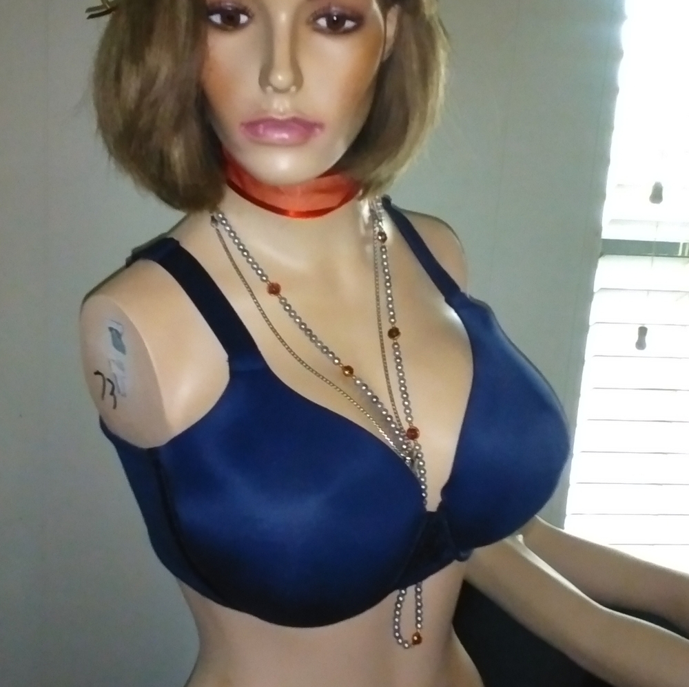 Vanity Fair blue bra. Size 38DD